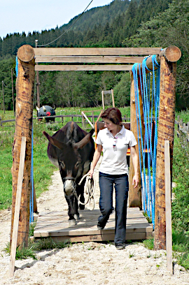 Esel Mountain Trail